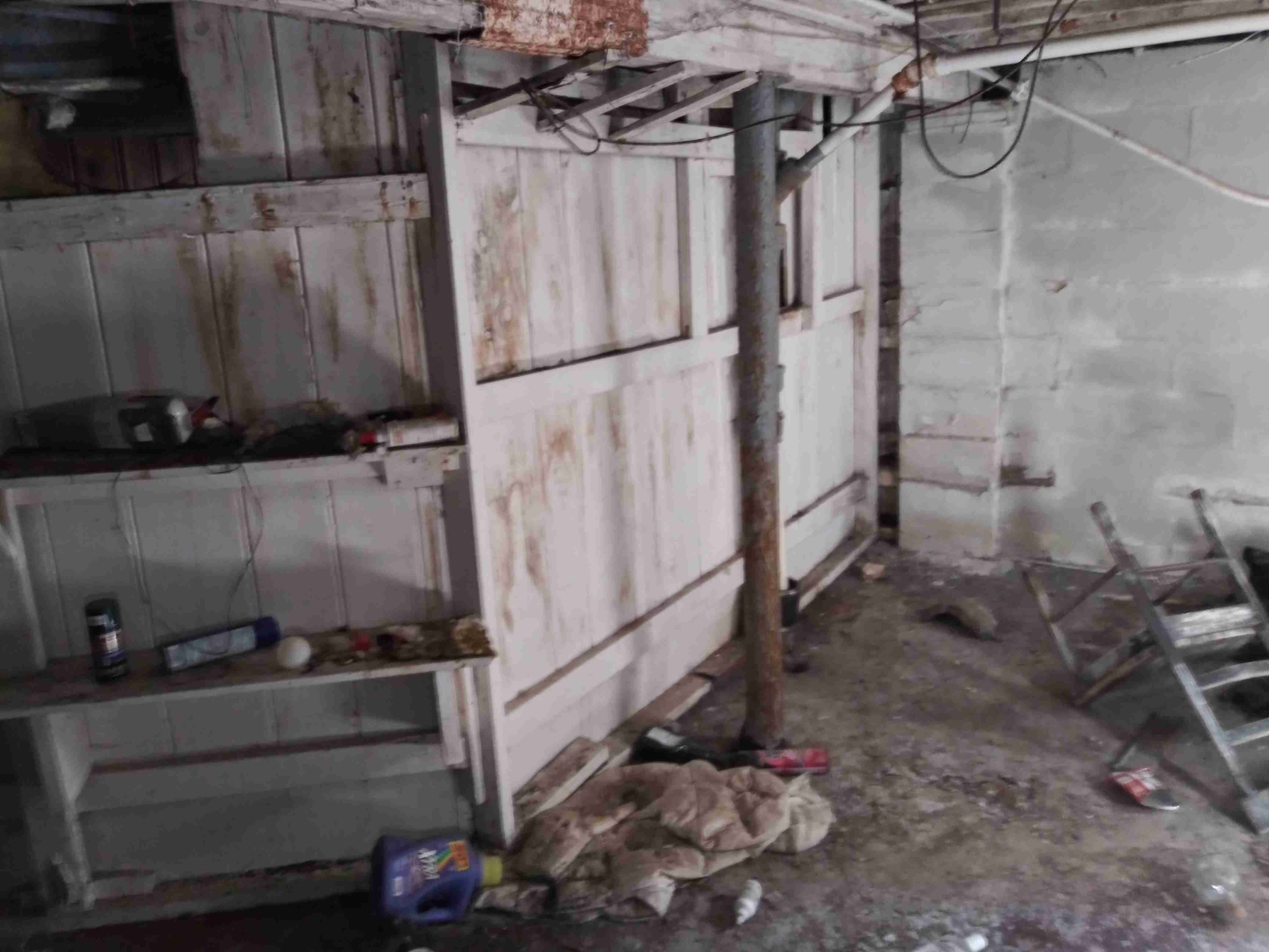 20210319_111030_HDR (1).jpg